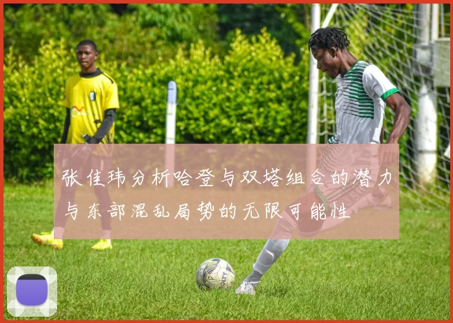 张佳玮分析哈登与双塔组合的潜力与东部混乱局势的无限可能性