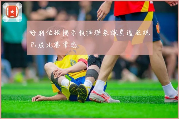 哈利伯顿揭示假摔现象球员造犯规已成比赛常态