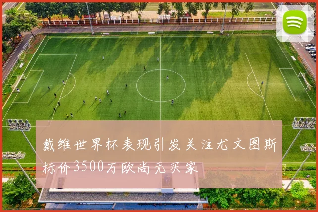 戴维世界杯表现引发关注尤文图斯标价3500万欧尚无买家